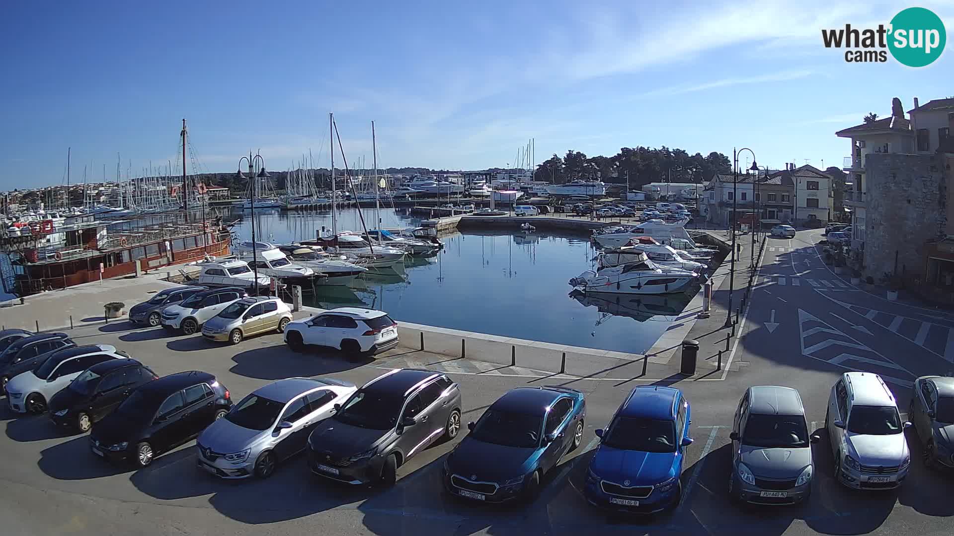 Novigrad | Porporela marina