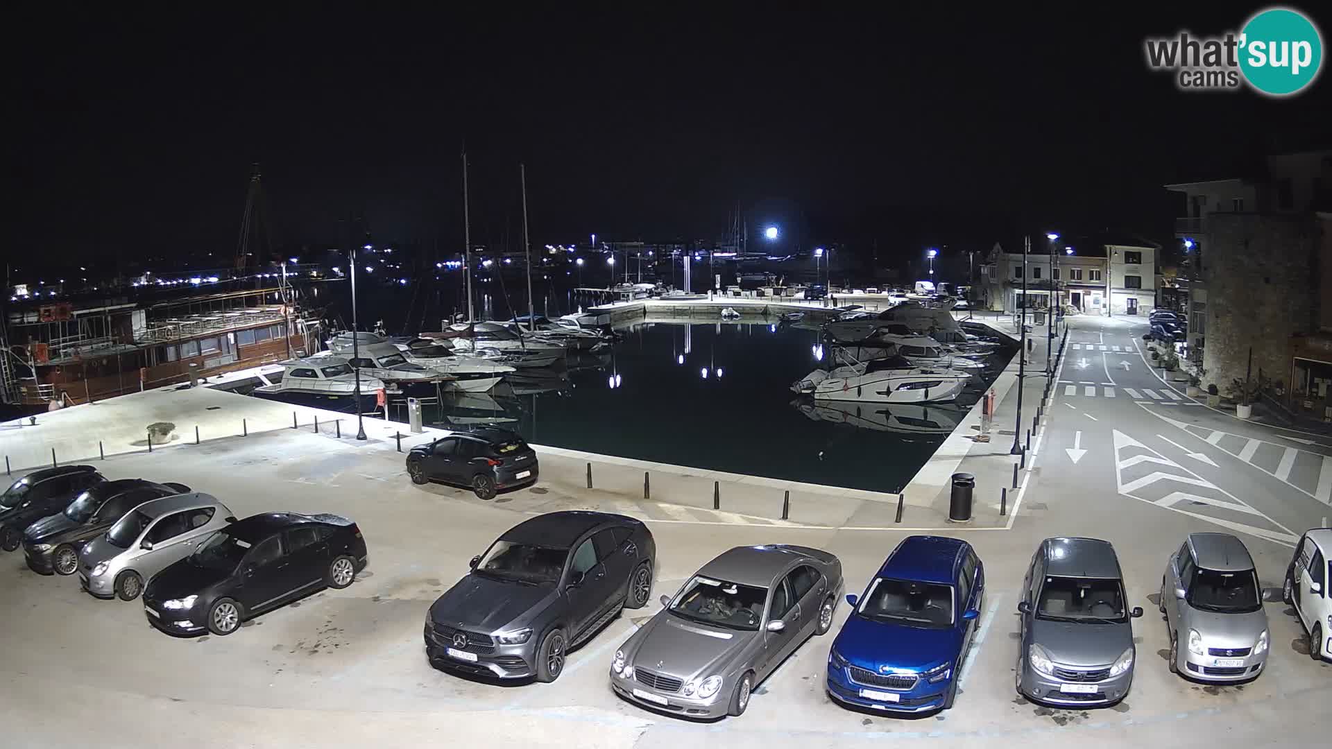 Novigrad | Porporela marina