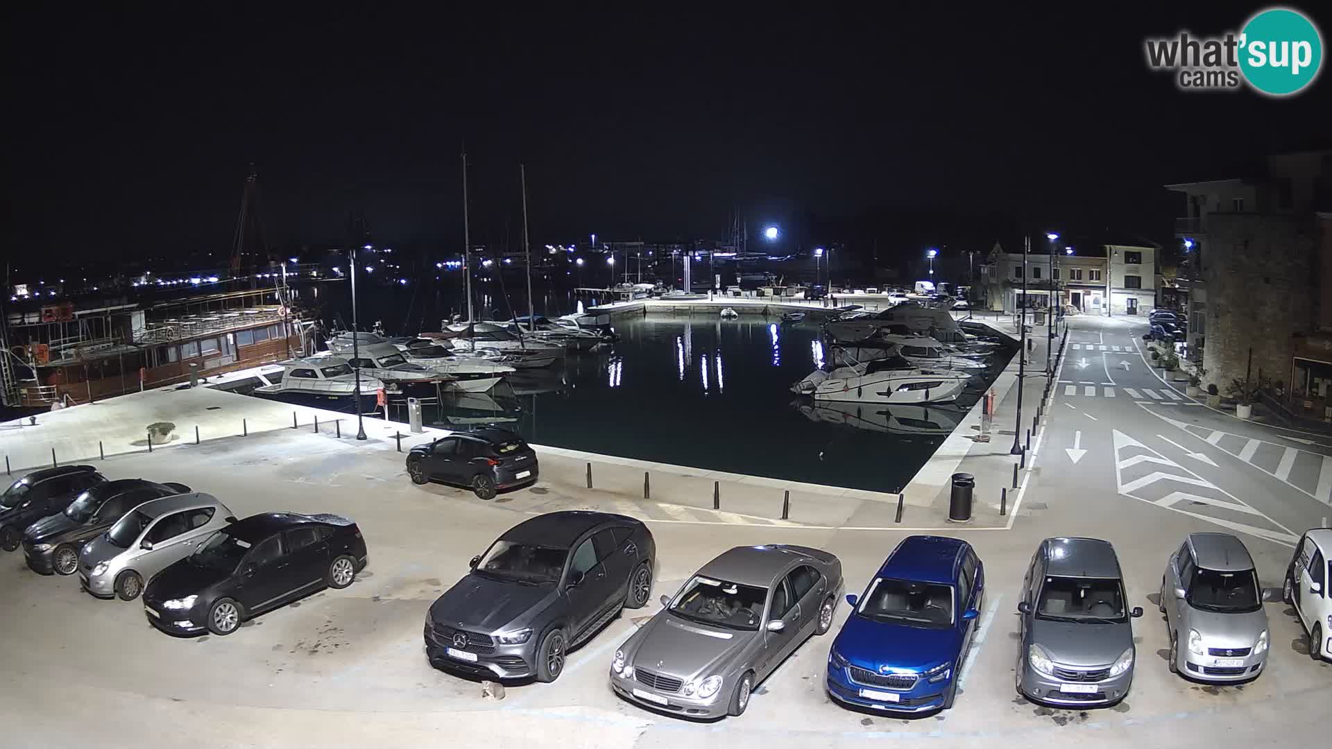 Novigrad | Porporela marina
