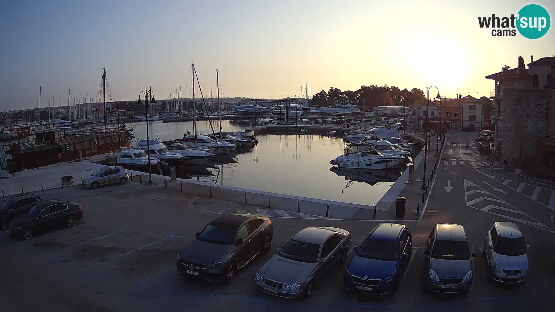 Novigrad | Porporela marina