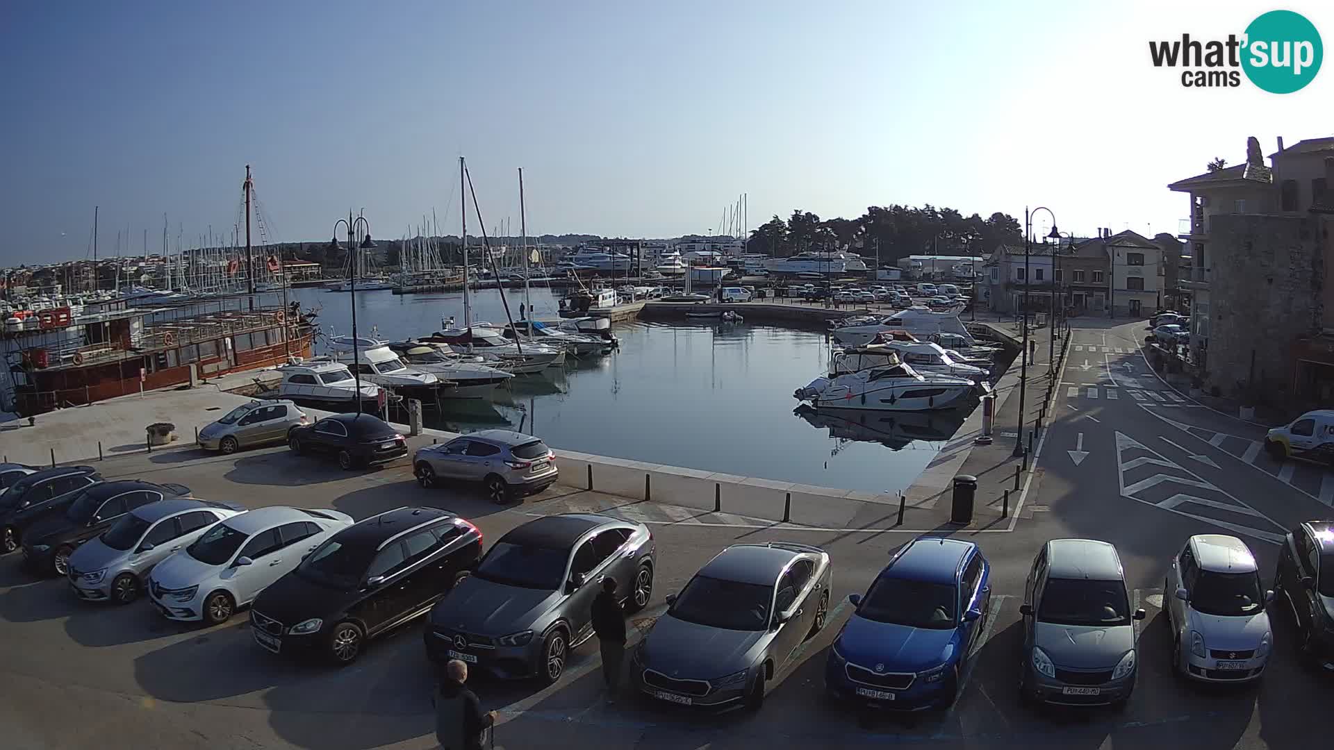 Novigrad | Porporela marina