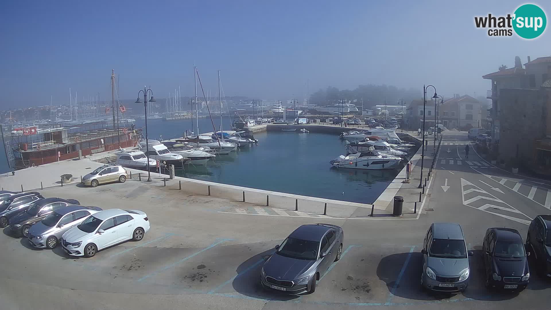 Novigrad | Porporela marina