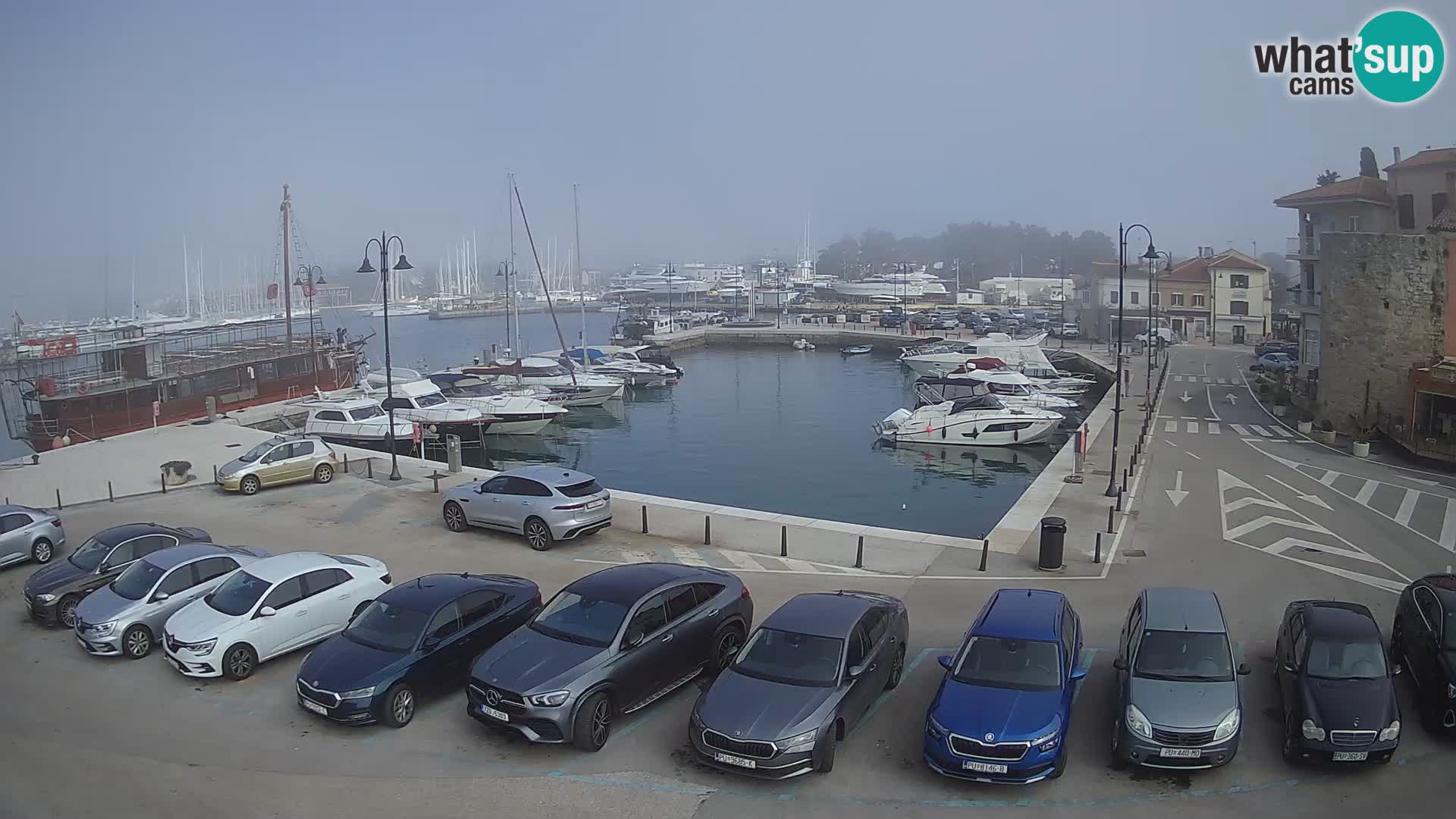 Novigrad | Porporela marina