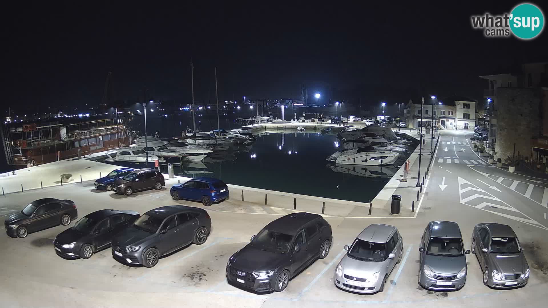 Novigrad | Porporela marina