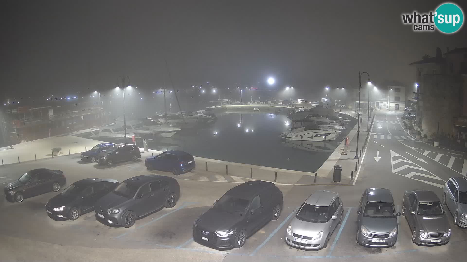 Novigrad | Porporela marina