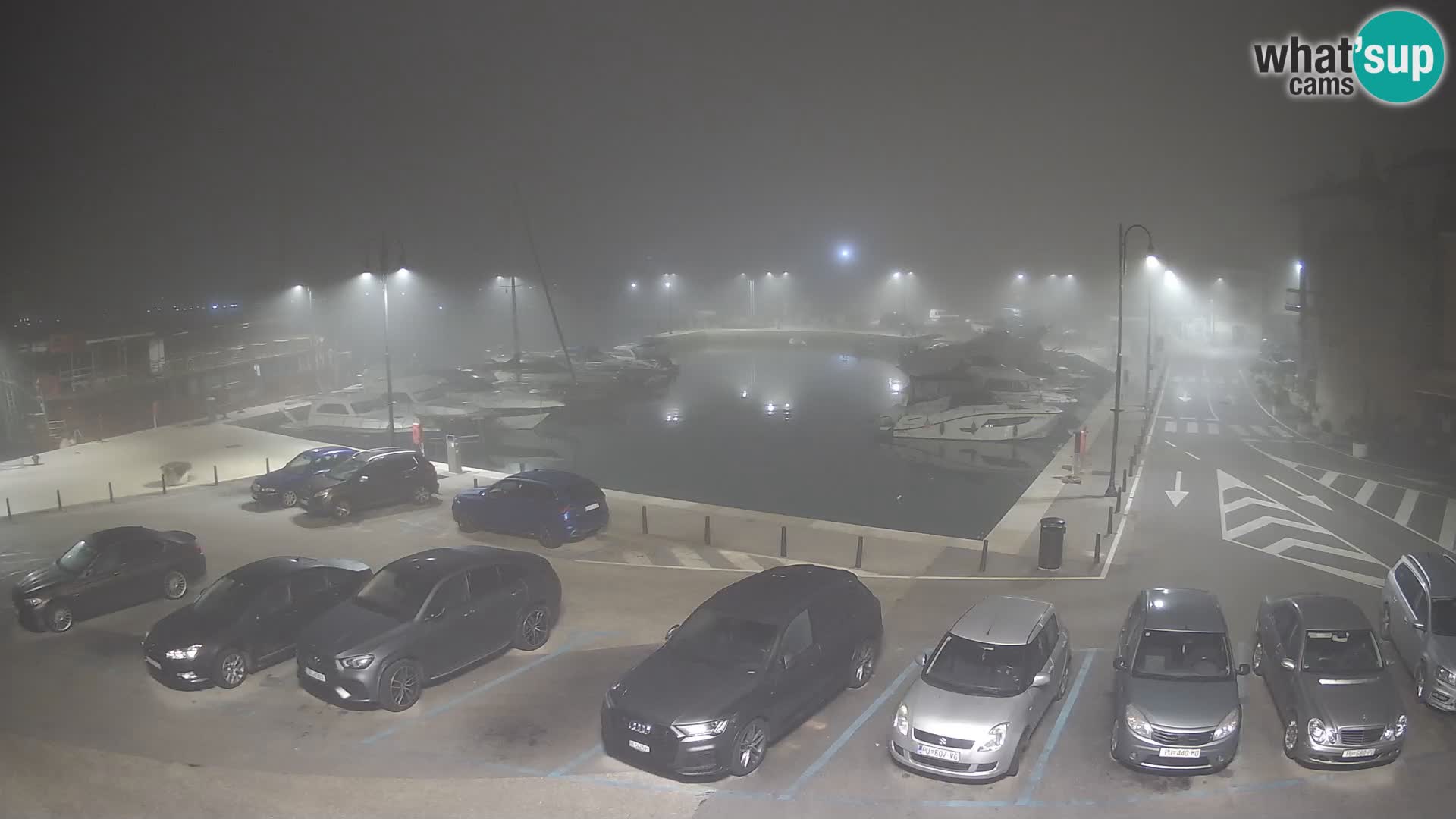 Novigrad | Porporela marina