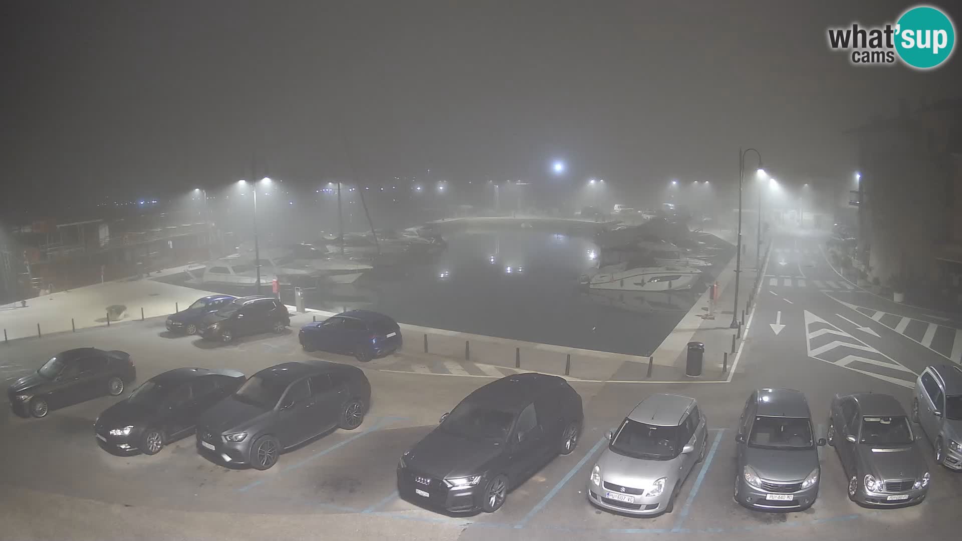 Novigrad | Porporela marina