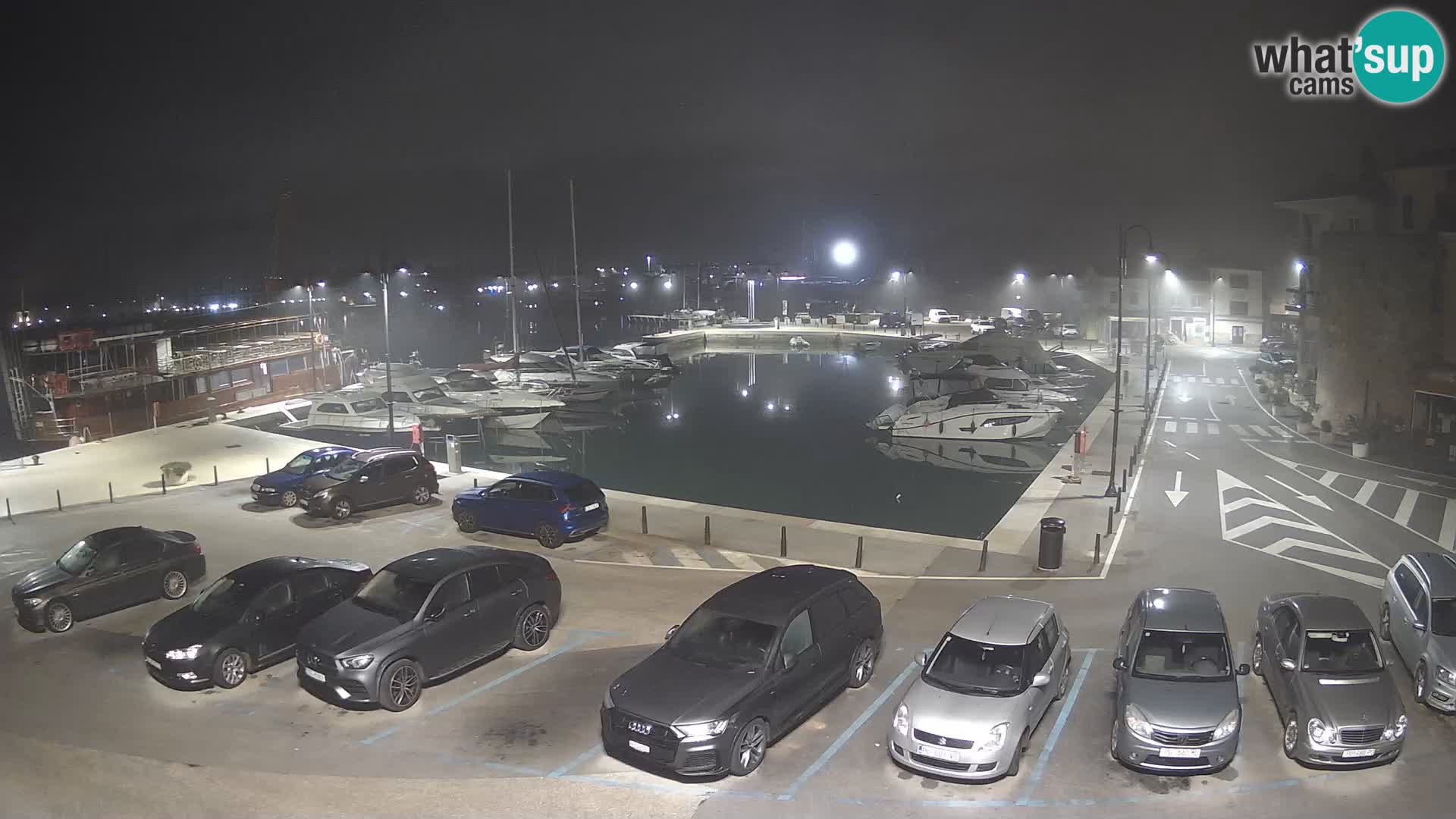 Novigrad | Porporela marina