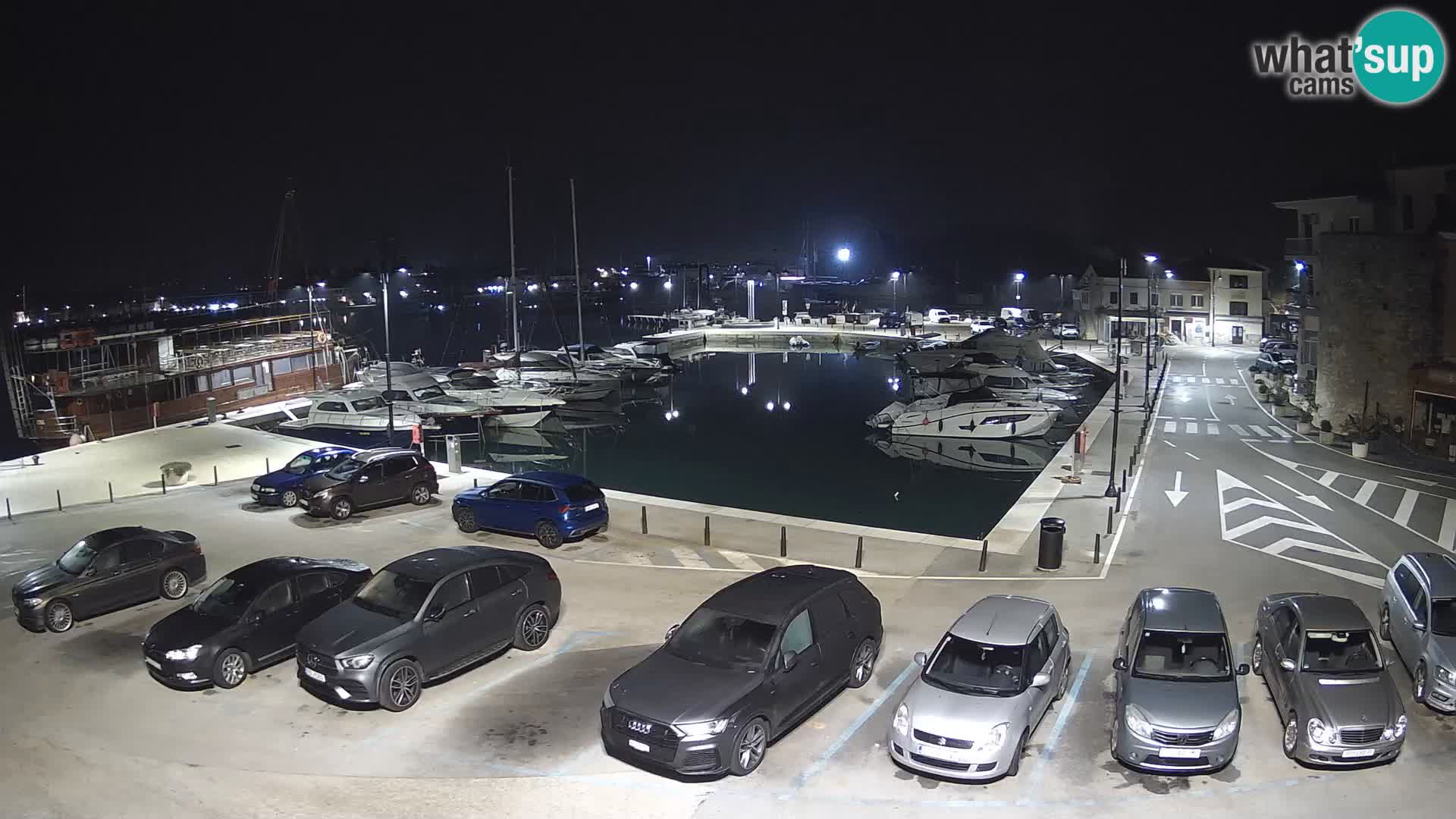 Novigrad | Porporela marina