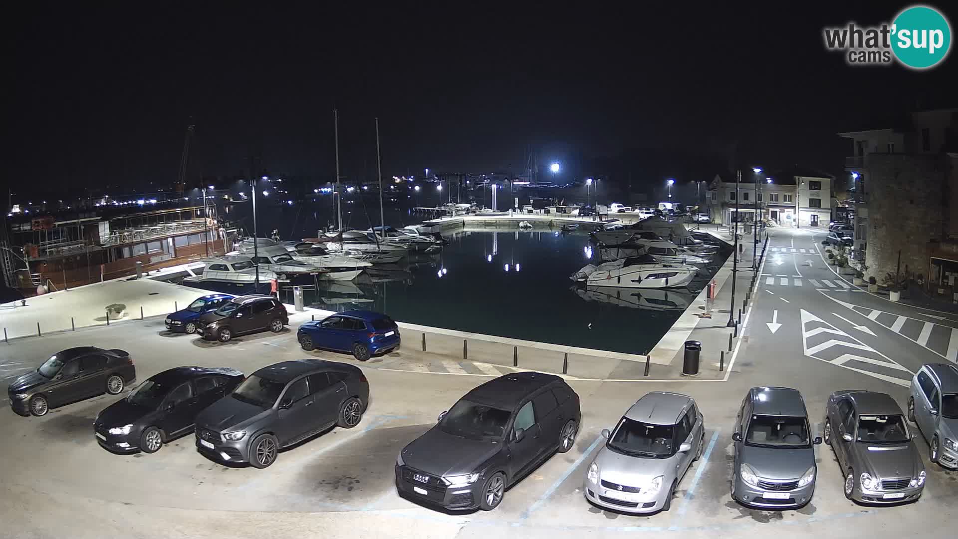 Novigrad | Porporela marina