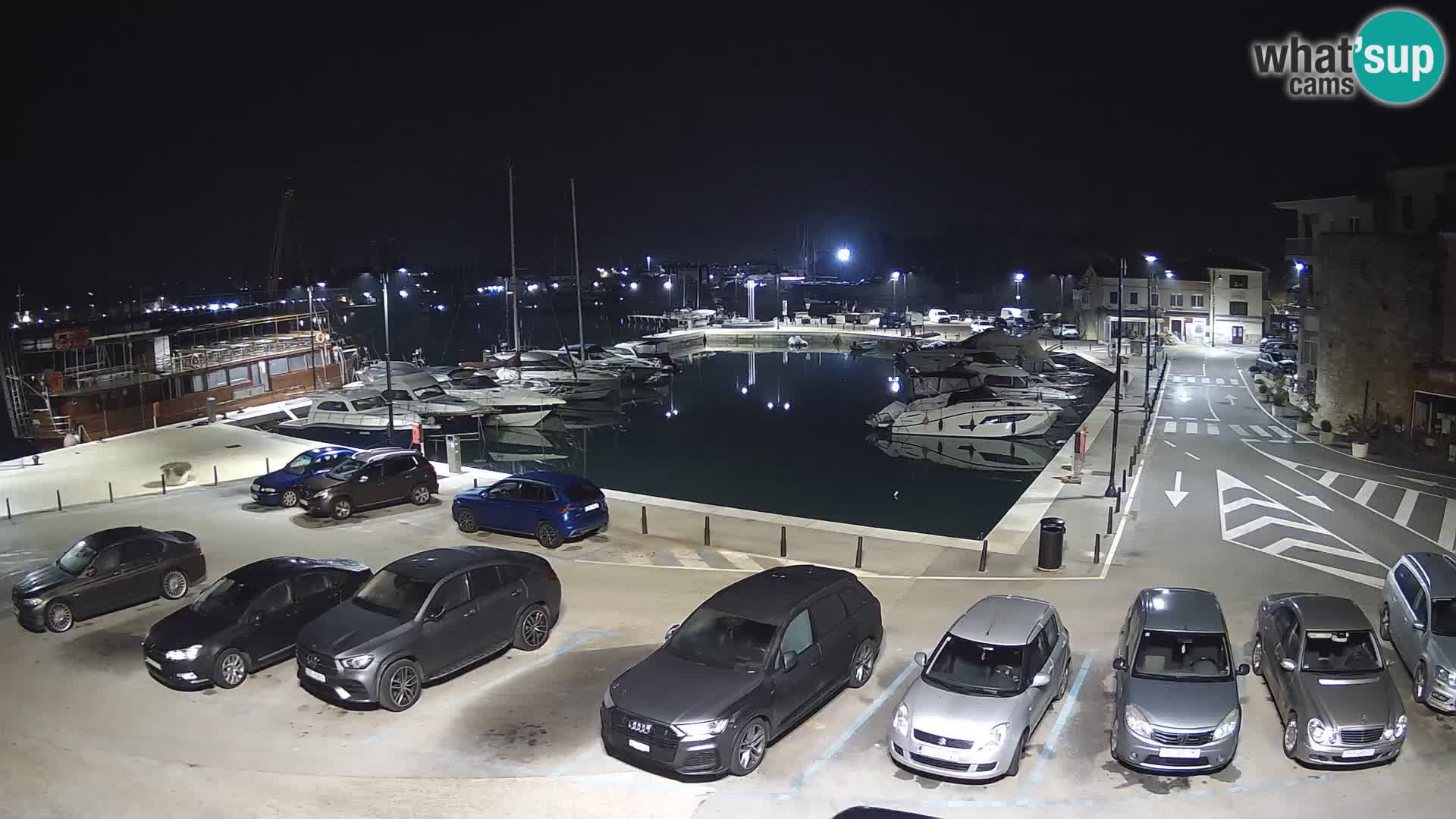 Novigrad | Porporela marina