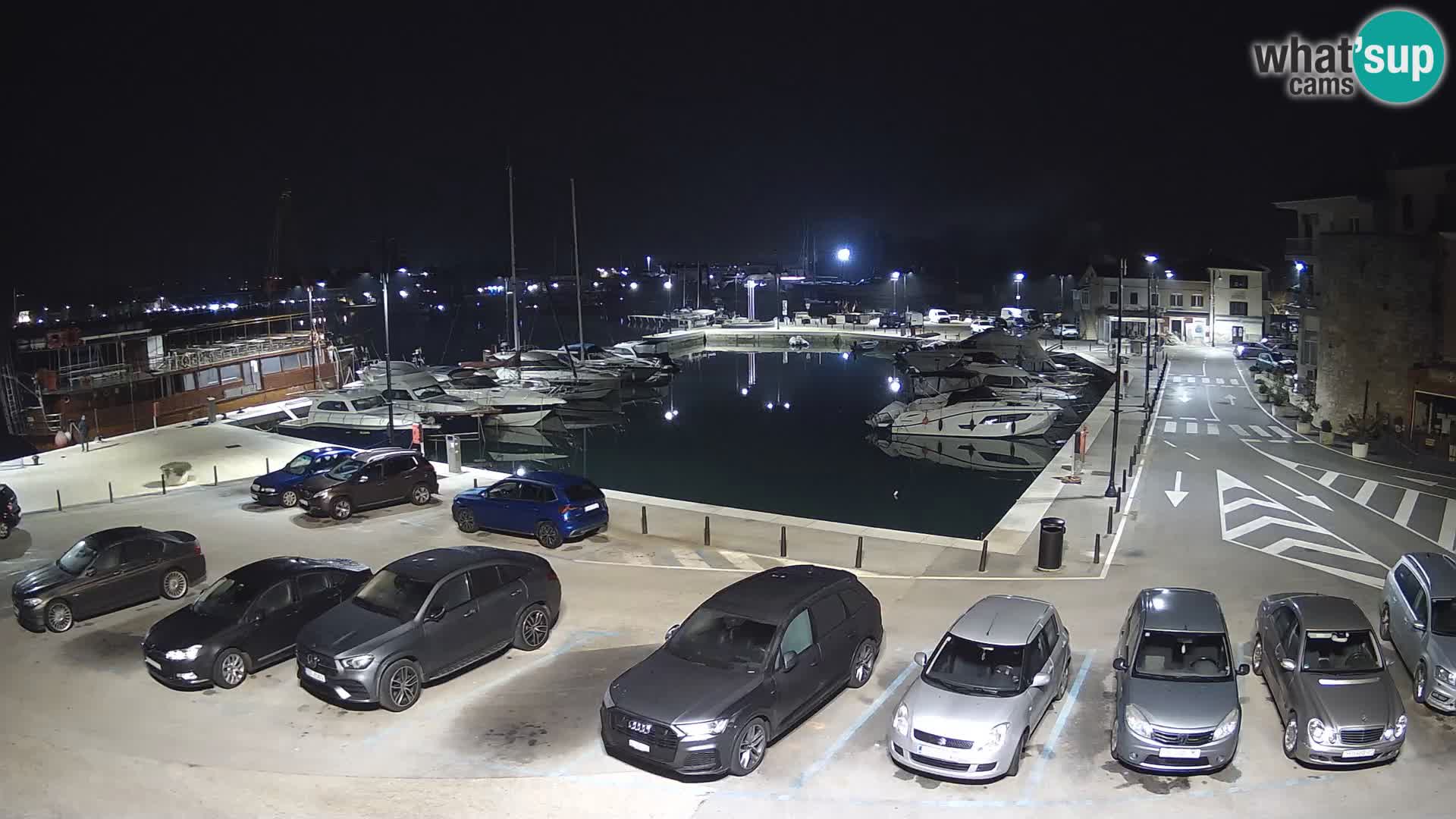 Novigrad | Porporela marina