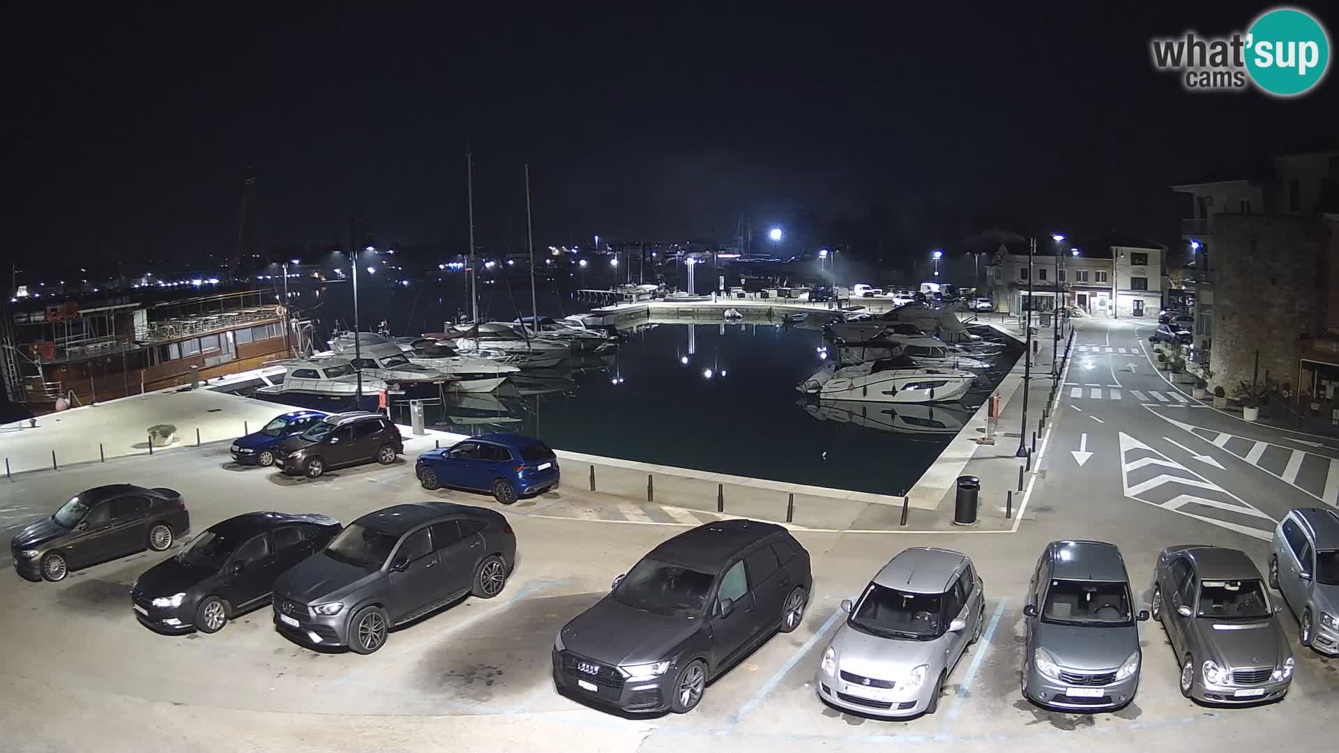 Novigrad | Porporela marina