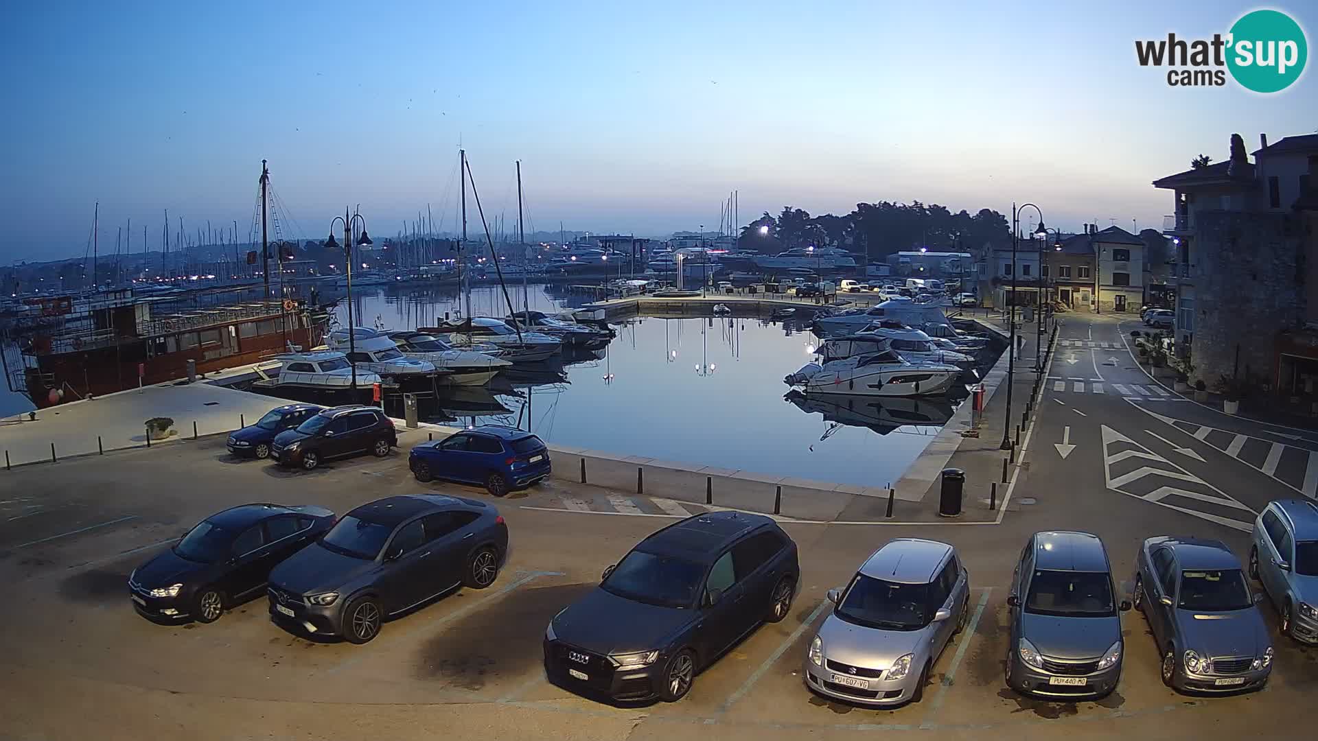 Novigrad | Porporela marina