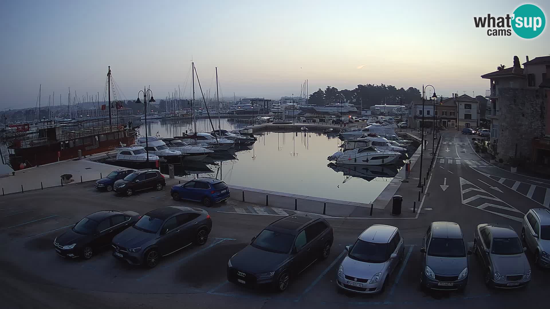 Novigrad | Porporela marina