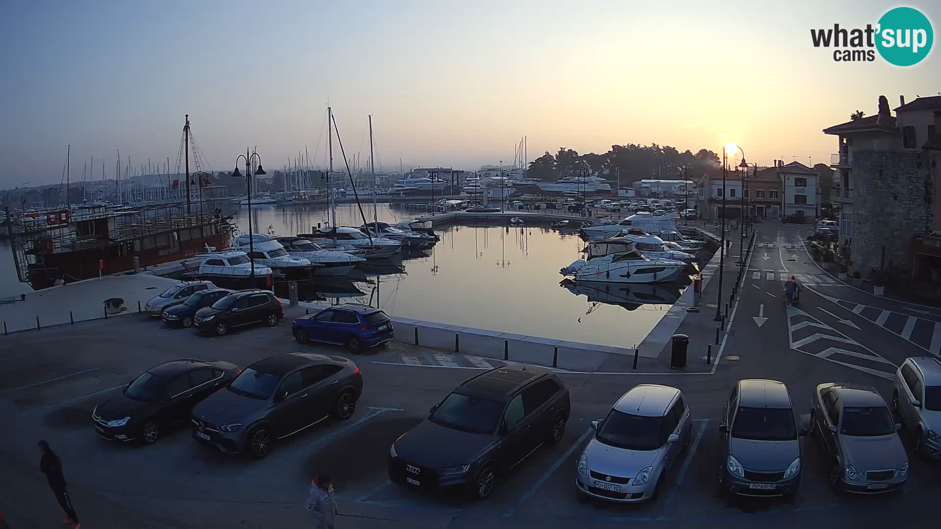 Novigrad | Porporela marina