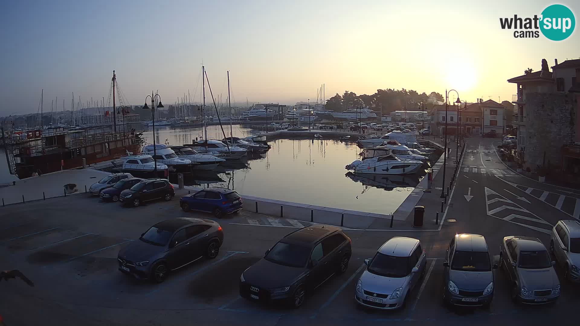 Novigrad | Porporela marina