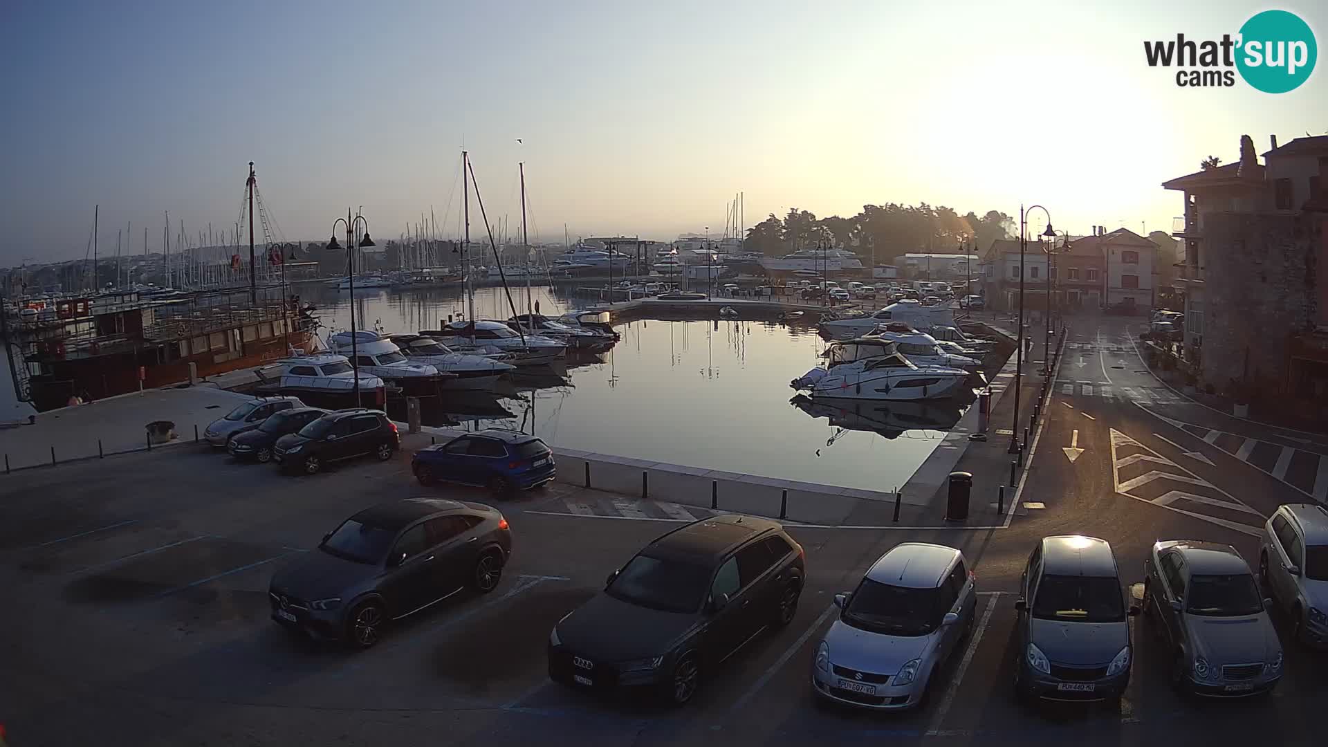 Novigrad | Porporela marina