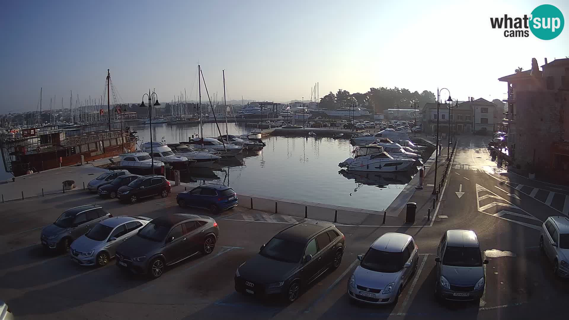 Novigrad | Porporela marina