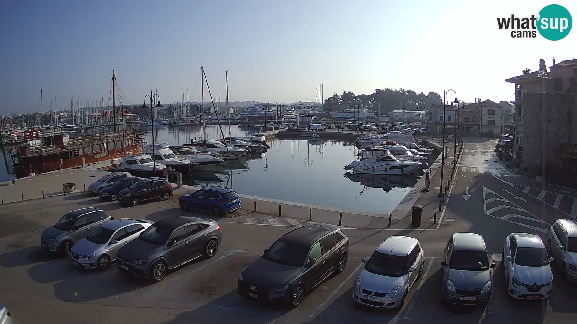 Novigrad | Porporela marina