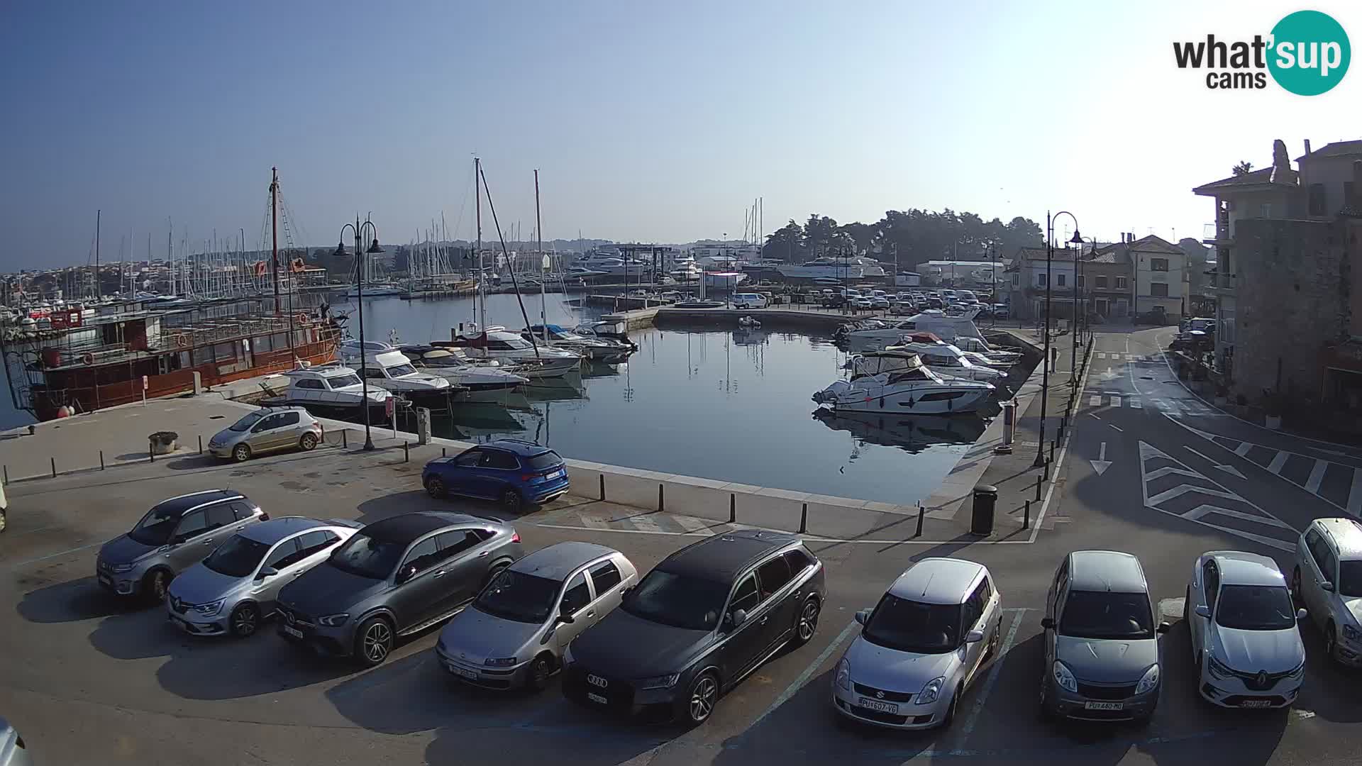 Novigrad | Porporela marina