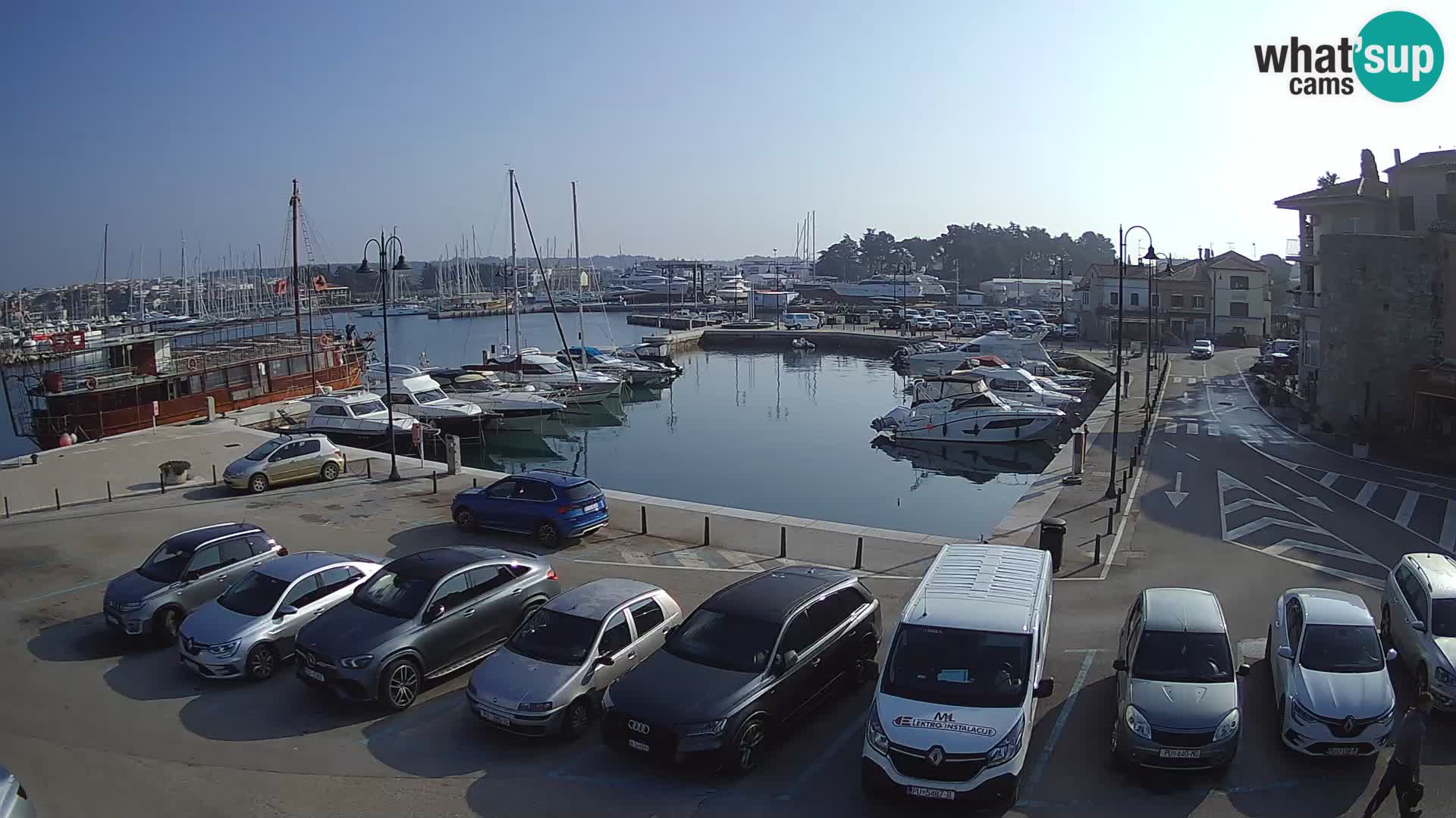 Novigrad | Porporela marina
