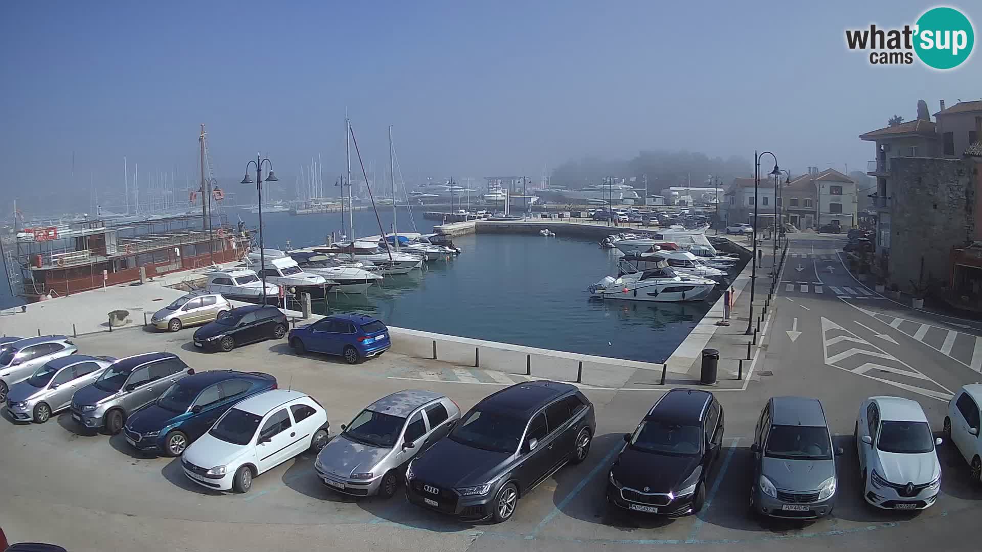 Novigrad | Porporela marina