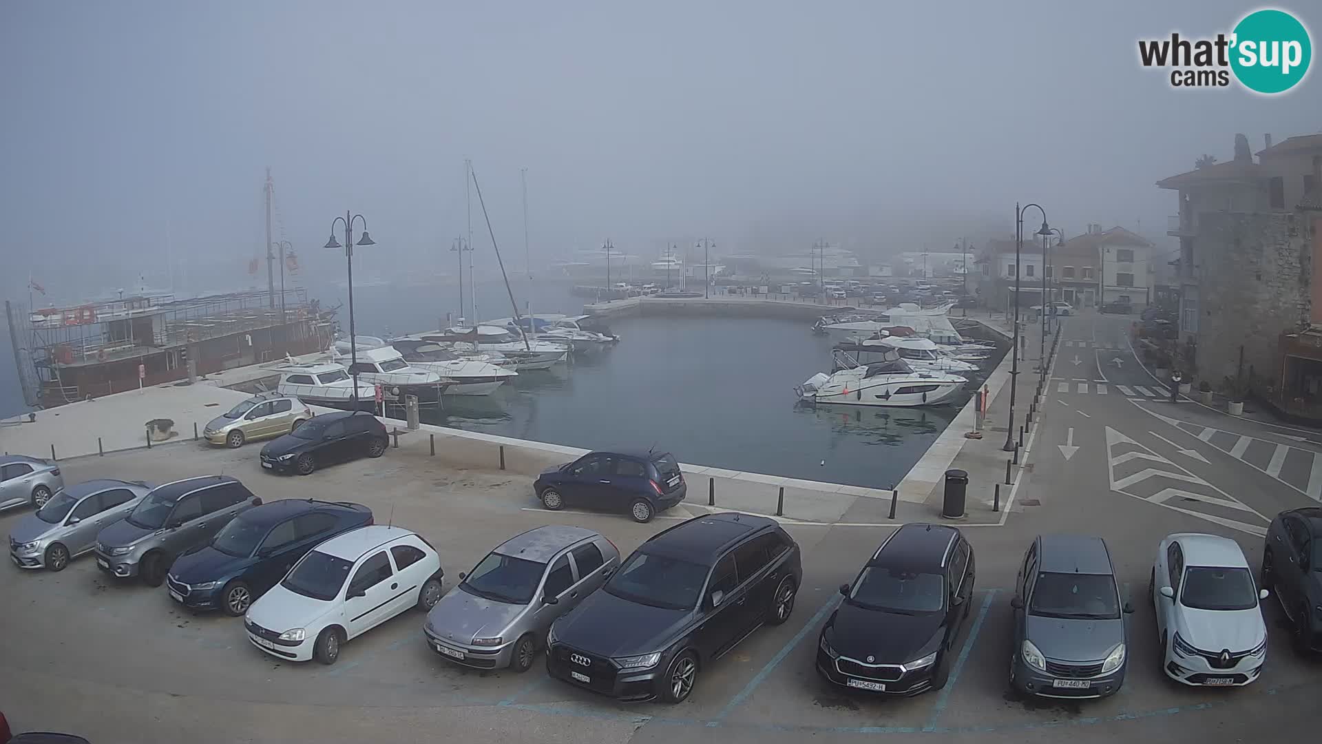 Novigrad | Porporela marina