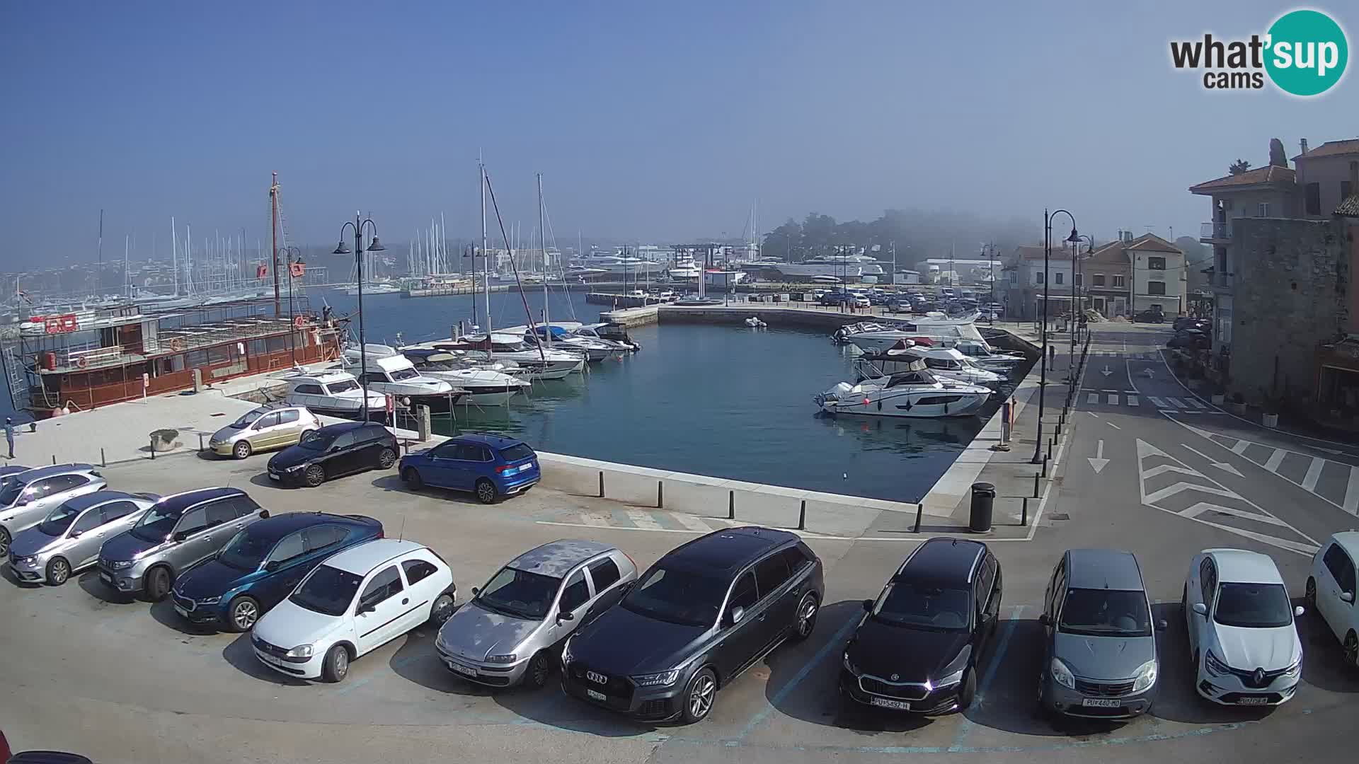 Novigrad | Porporela marina