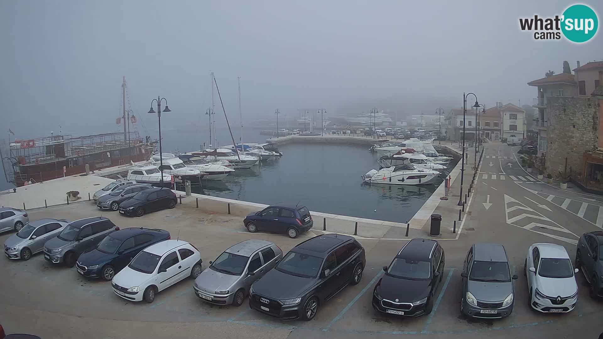 Novigrad | Porporela marina