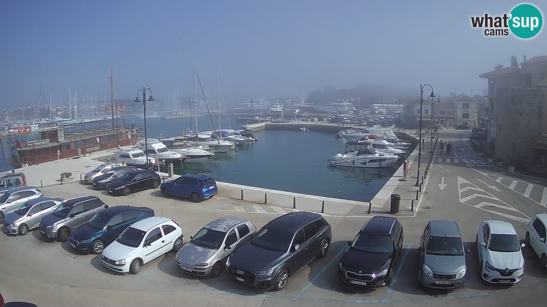 Novigrad | Porporela marina