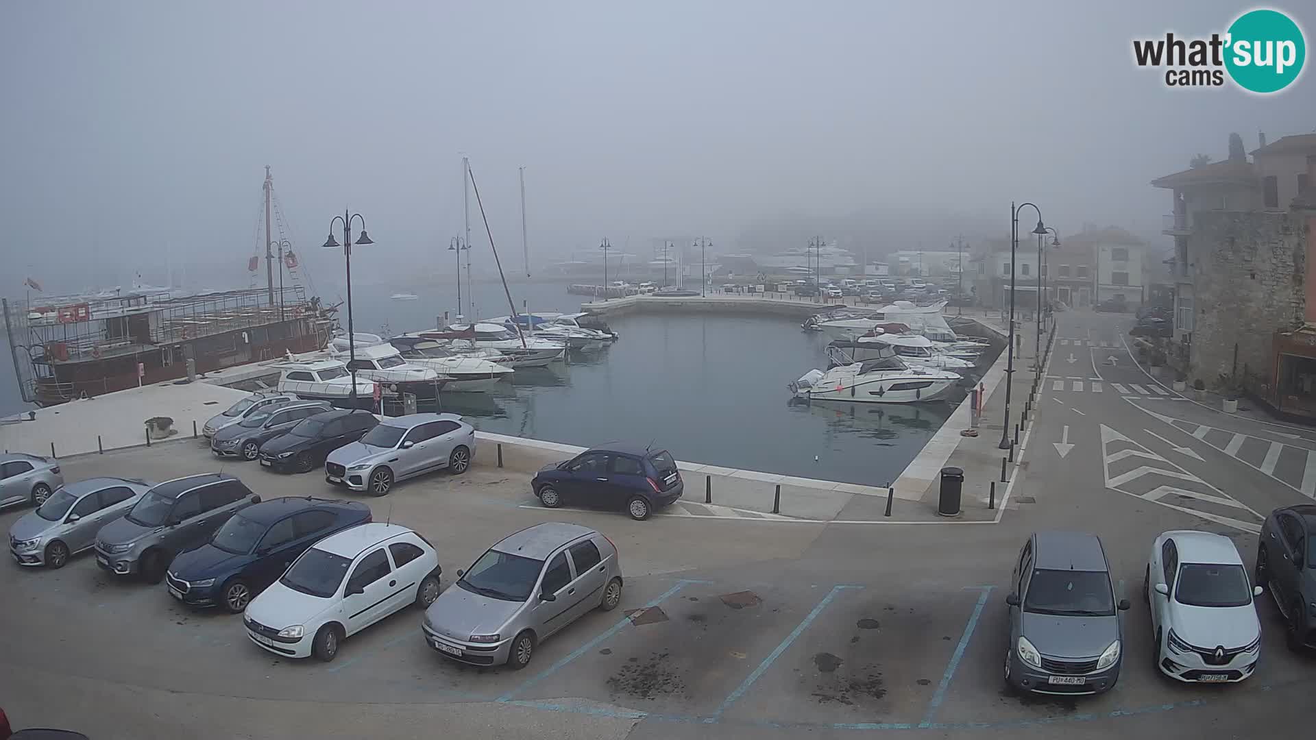 Novigrad | Porporela marina