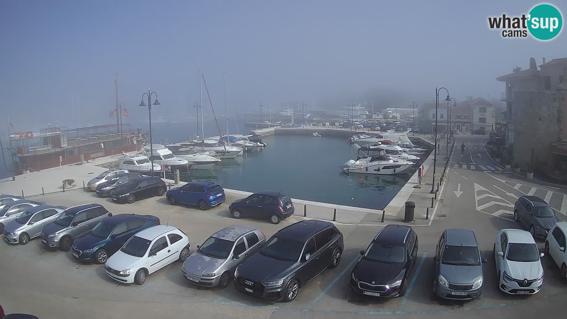 Novigrad | Porporela marina