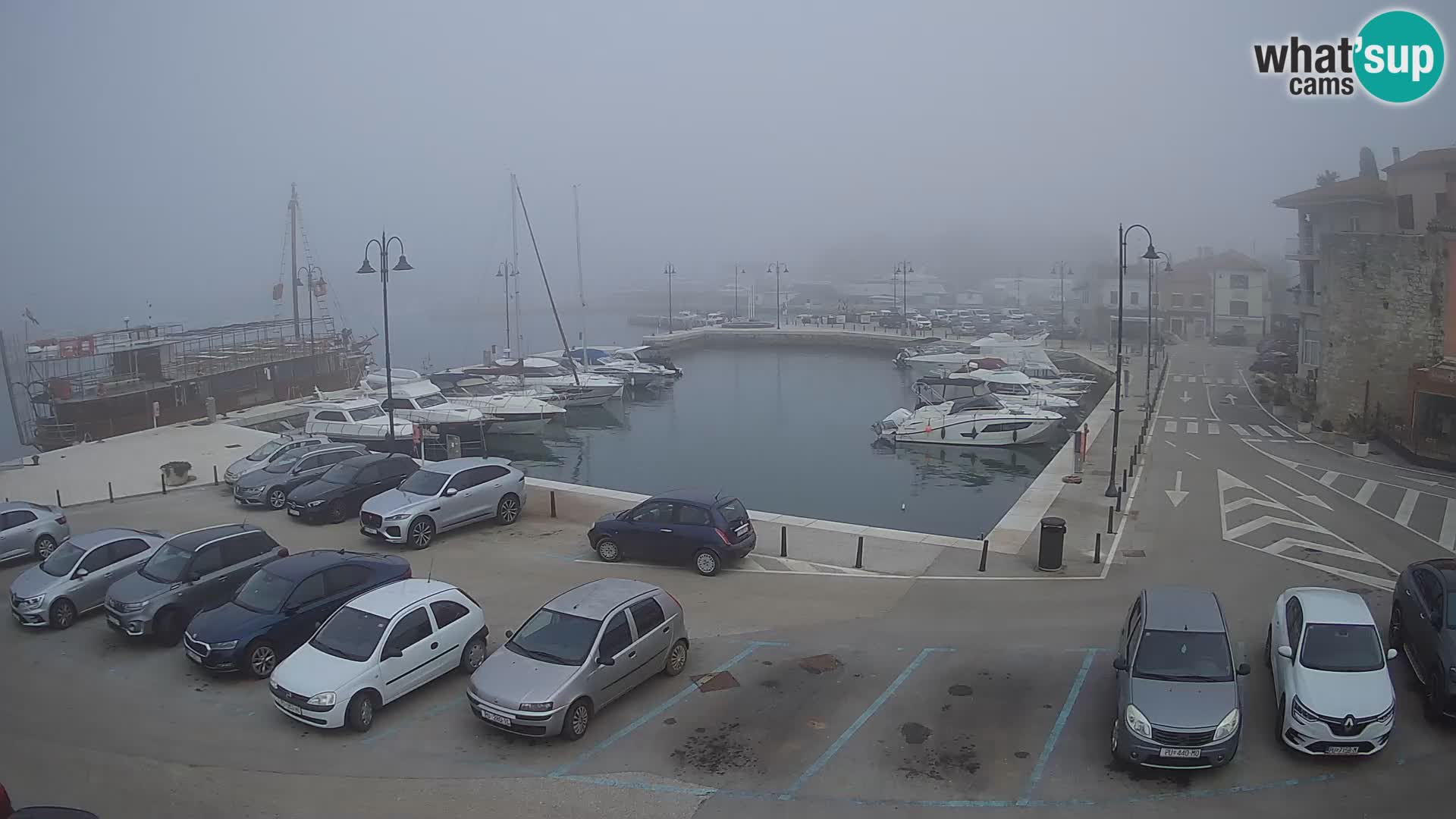 Novigrad | Porporela marina