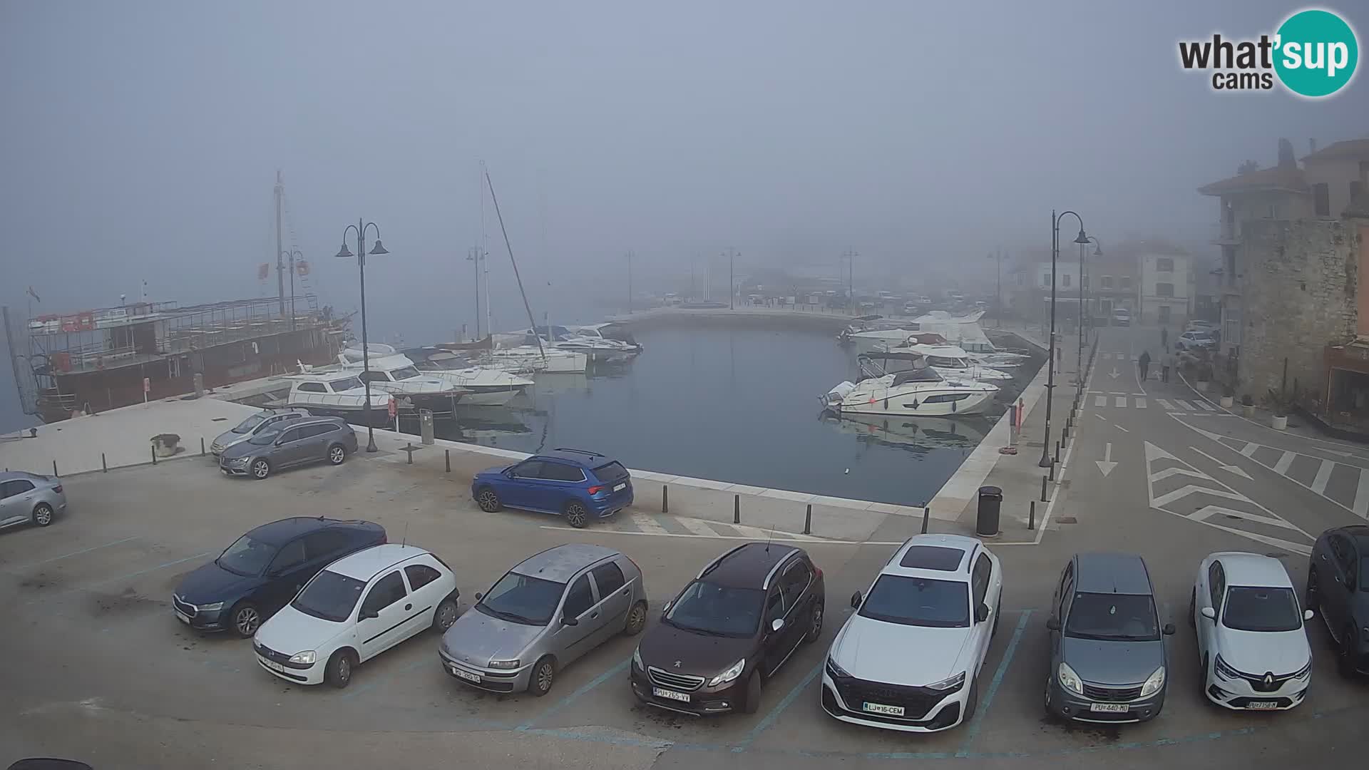 Novigrad | Porporela marina