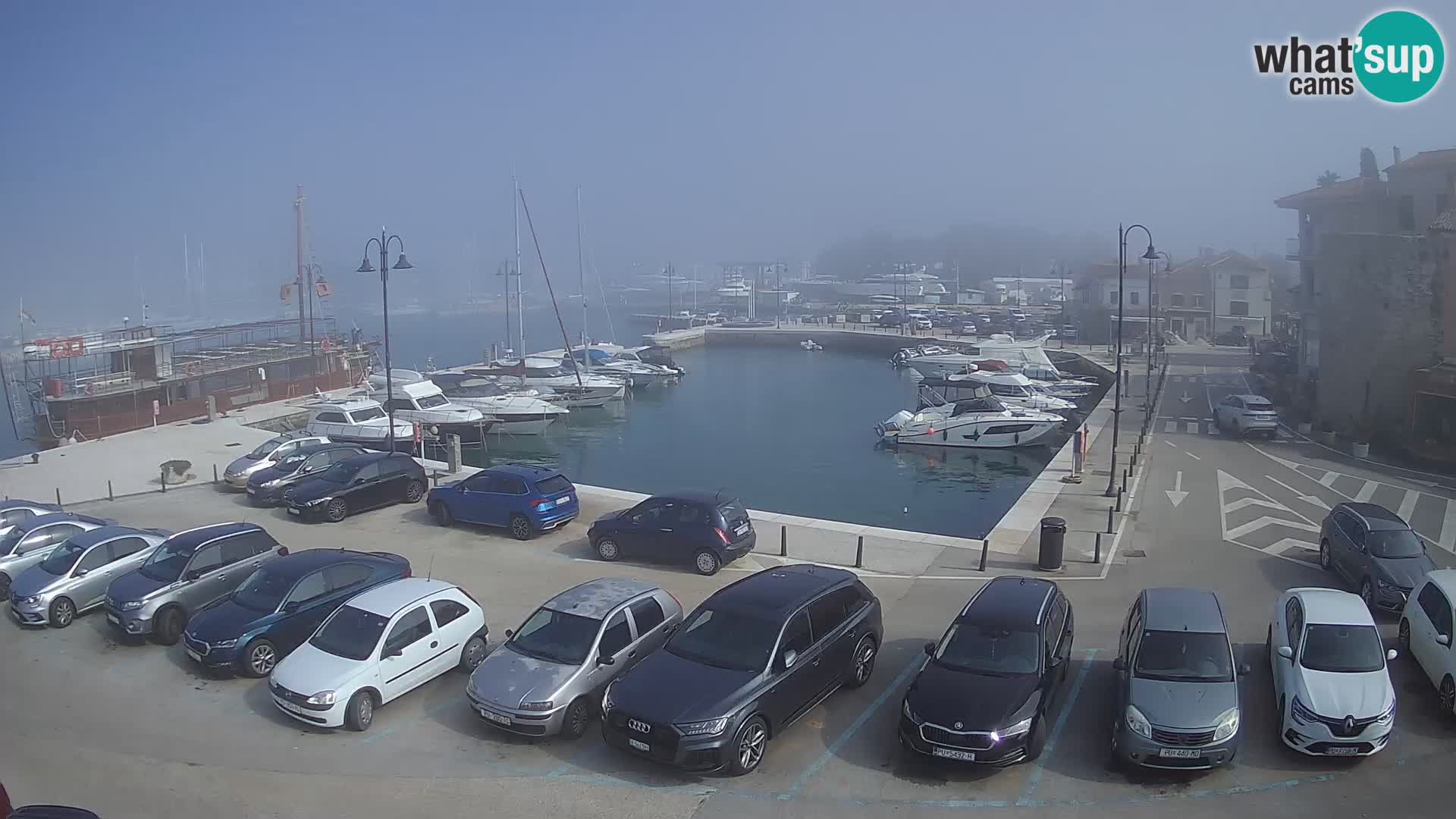 Novigrad | Porporela marina