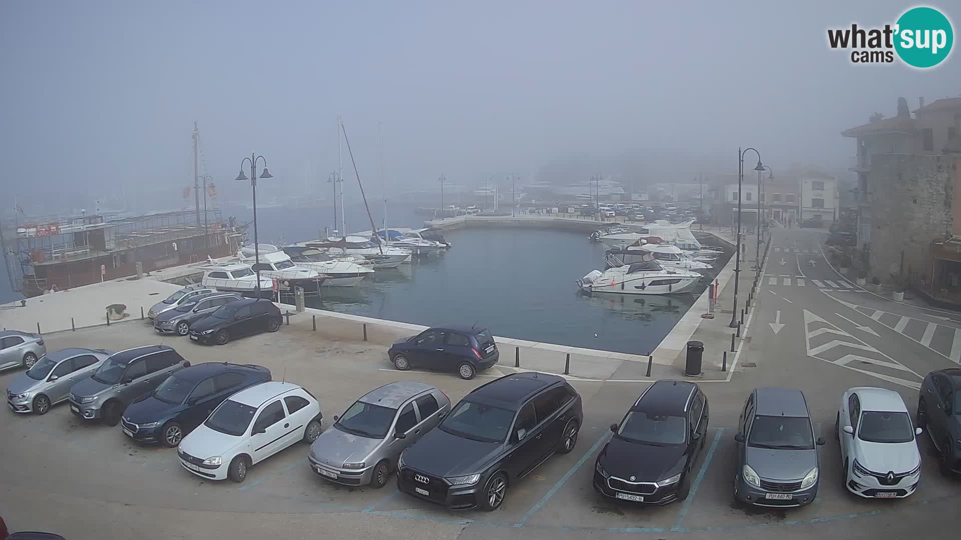 Novigrad | Porporela marina