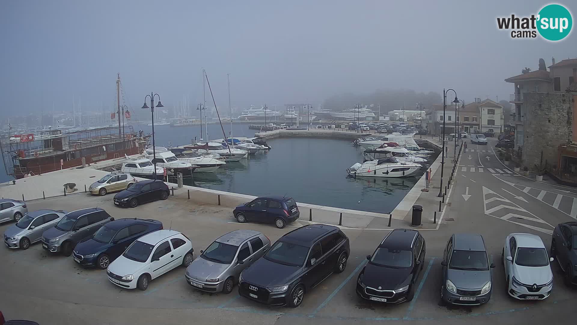 Novigrad | Porporela marina