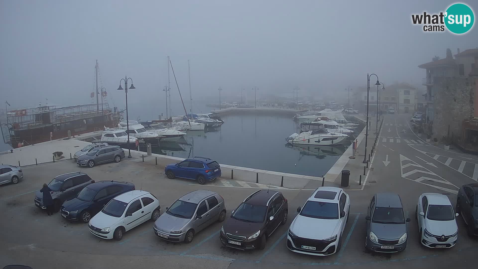 Novigrad | Porporela marina