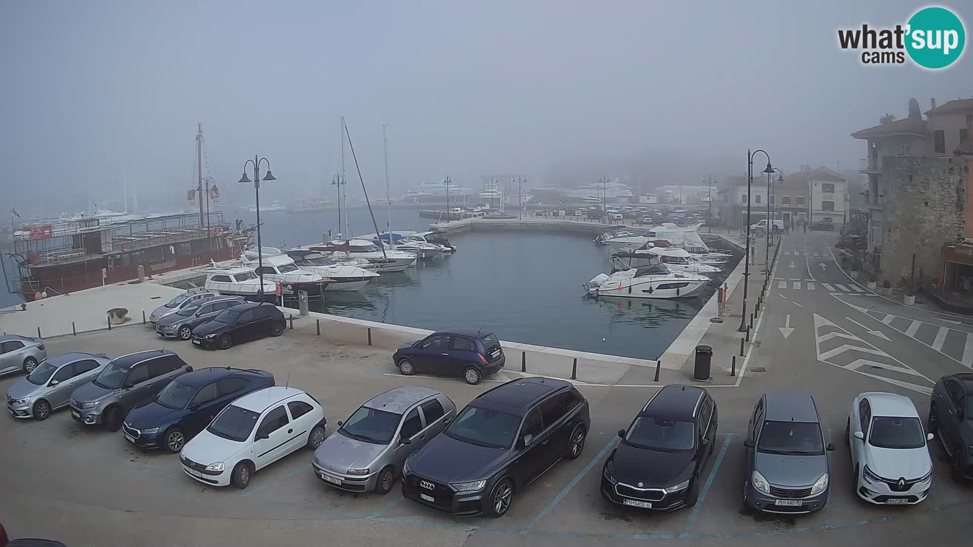 Novigrad | Porporela marina