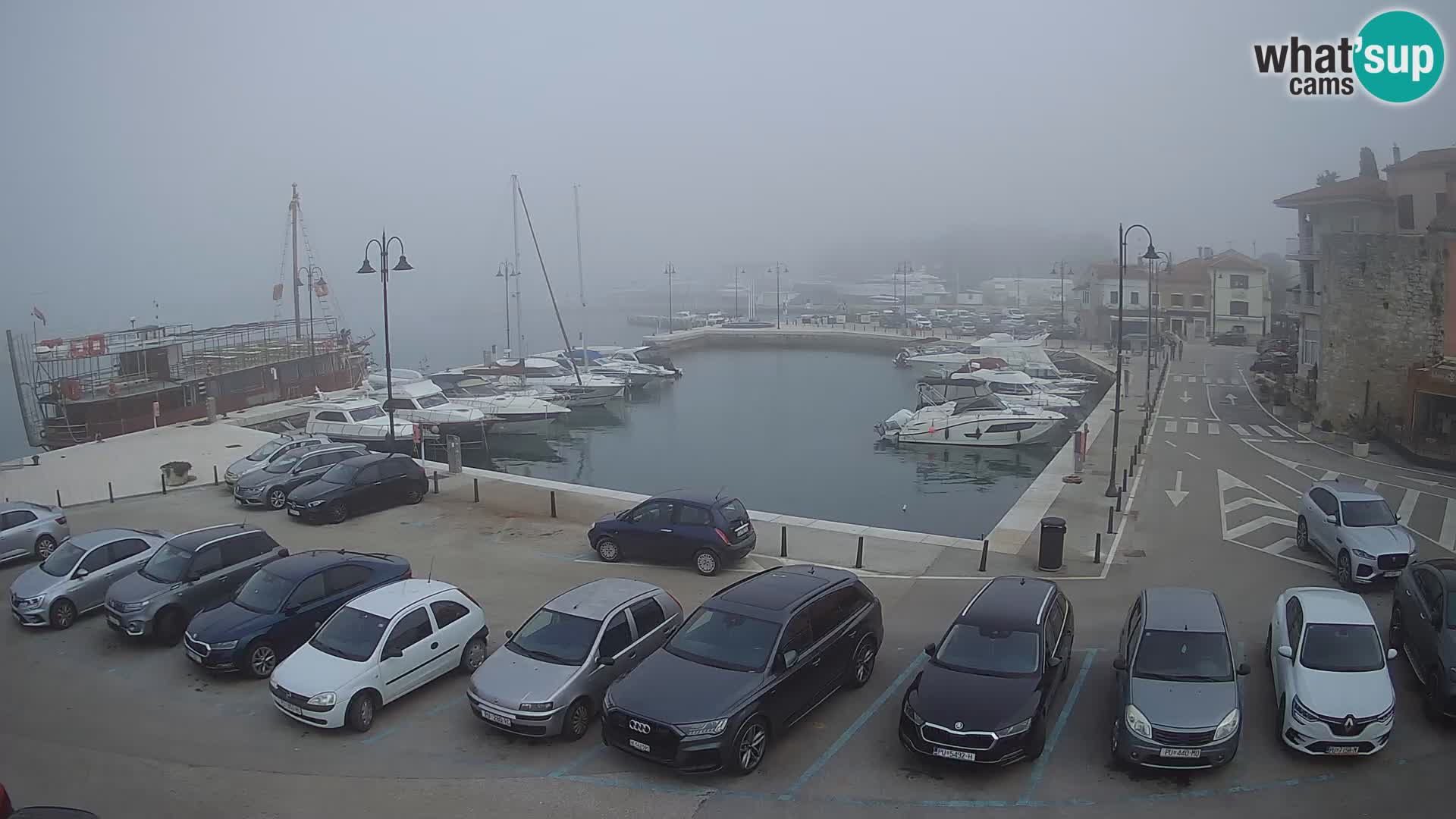 Novigrad | Porporela marina