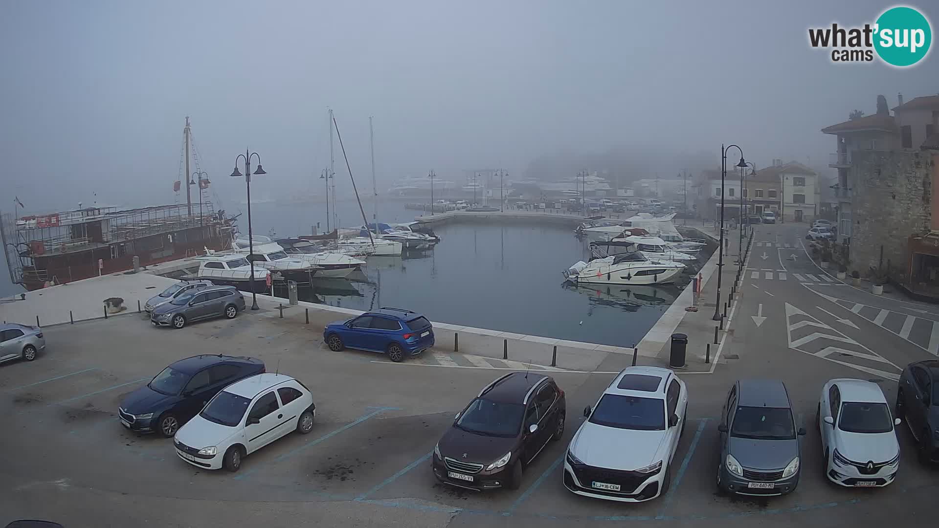 Novigrad | Porporela marina