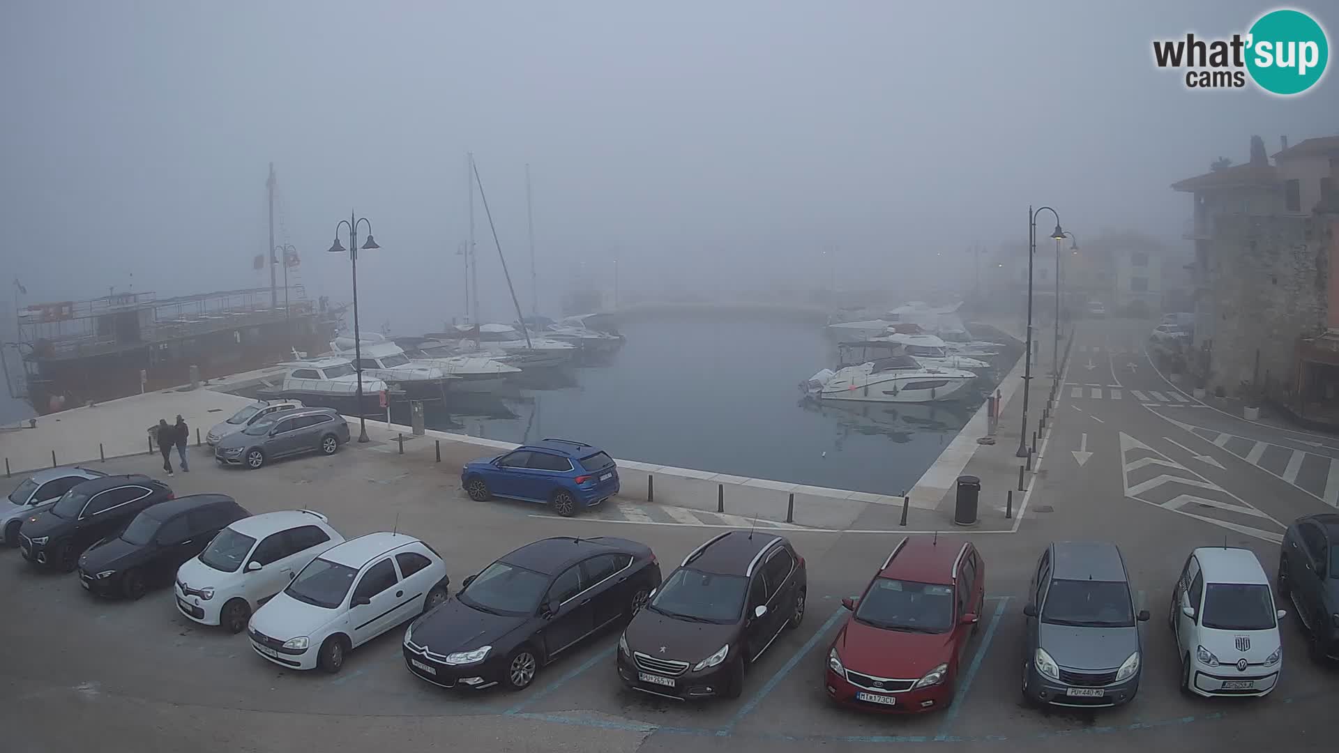 Novigrad | Porporela marina