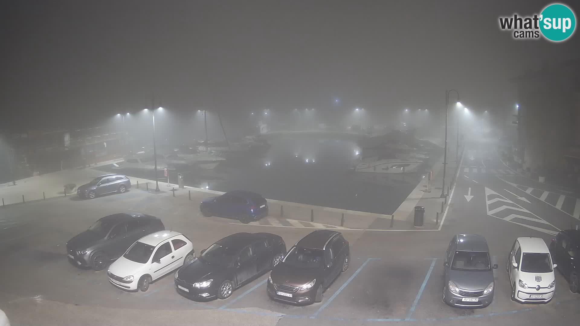 Novigrad | Porporela marina