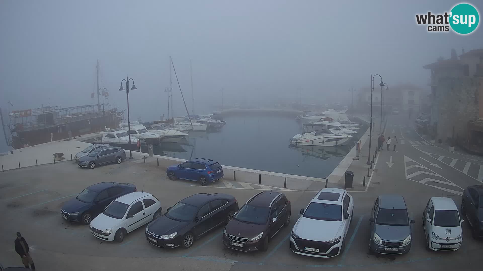 Novigrad | Porporela marina