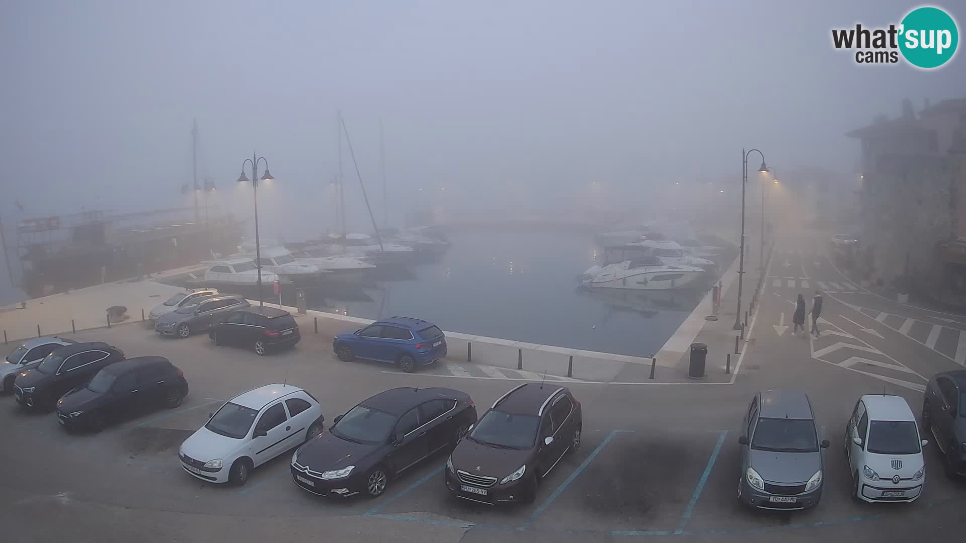 Novigrad | Porporela marina