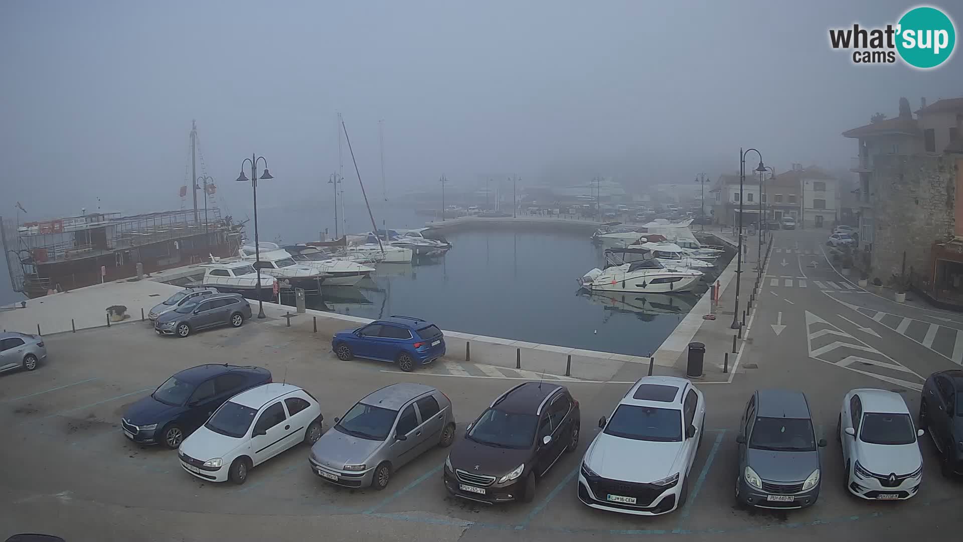 Novigrad | Porporela marina