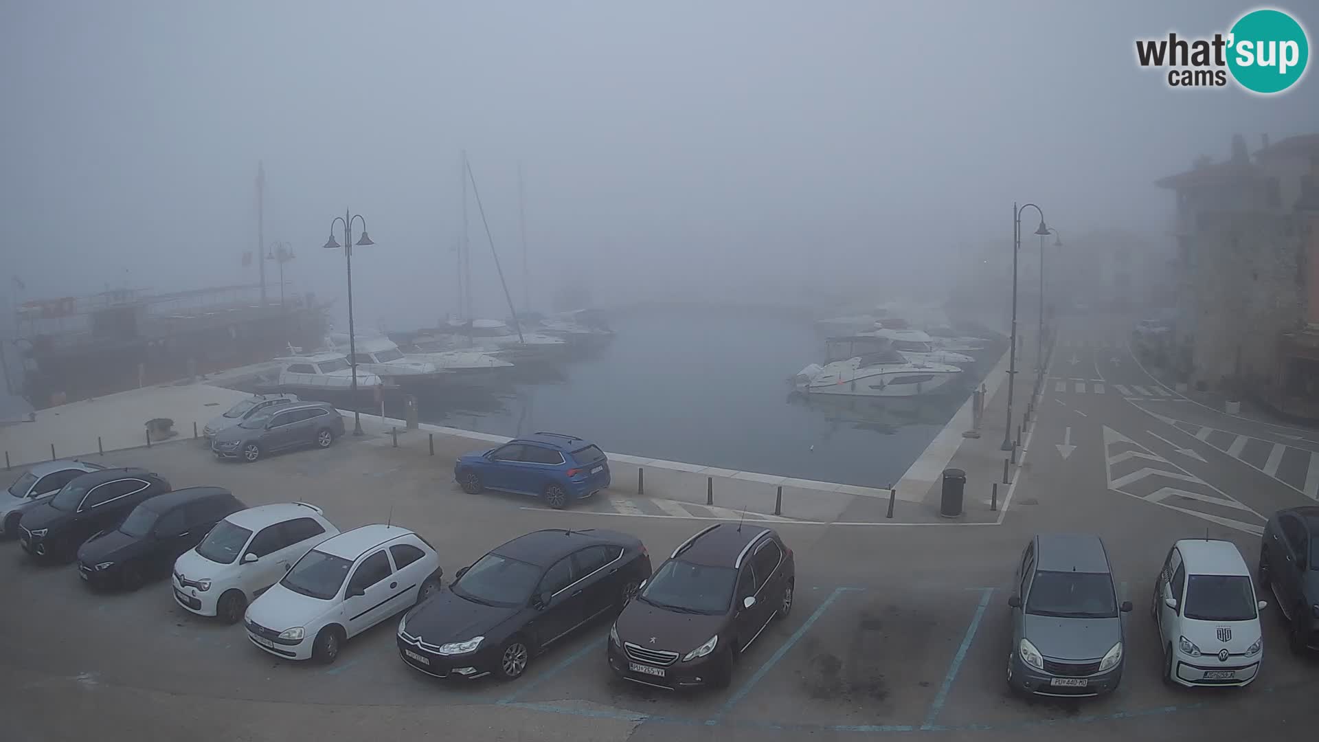 Novigrad | Porporela marina