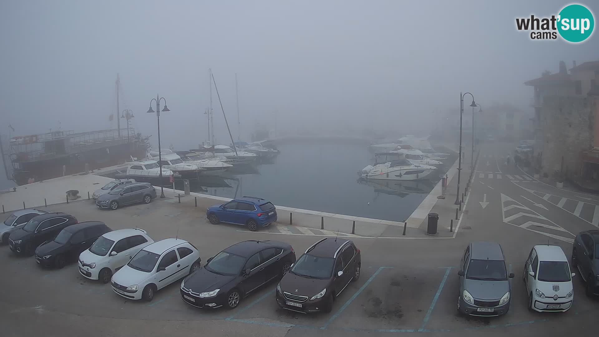 Novigrad | Porporela marina