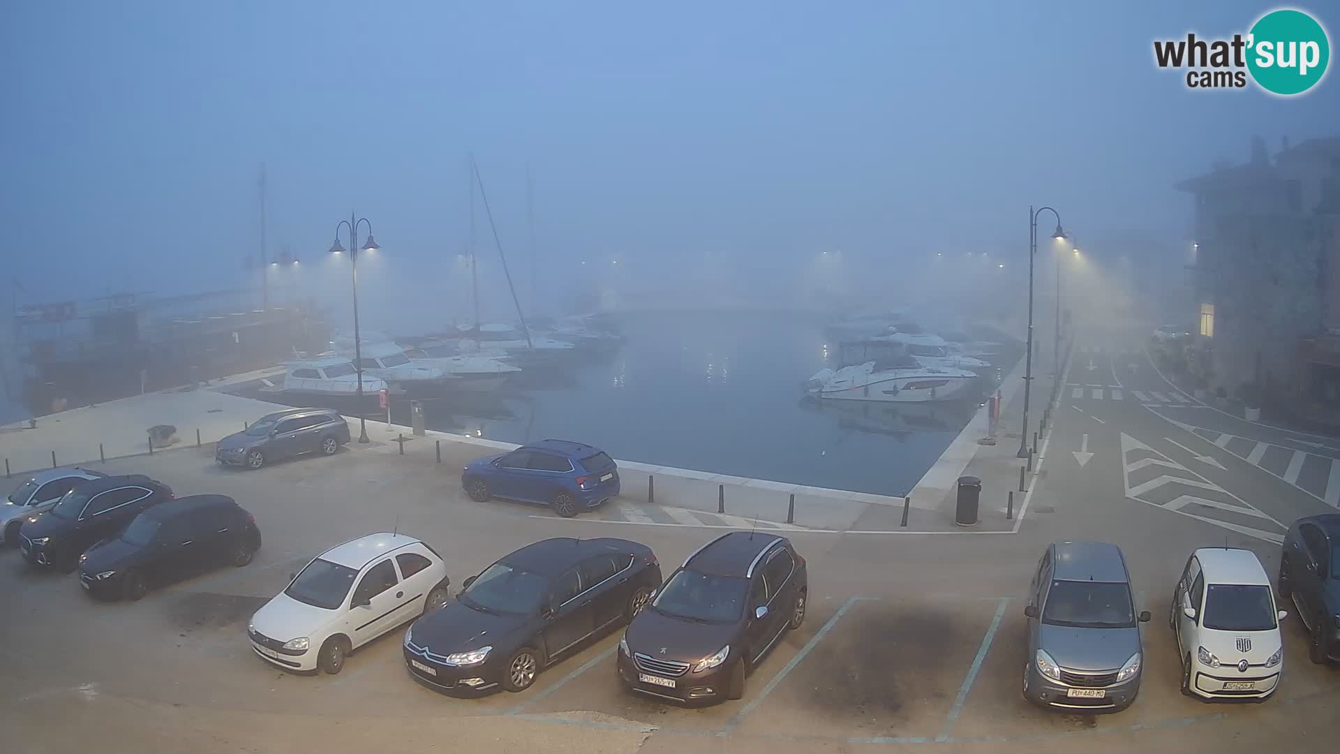 Novigrad | Porporela marina